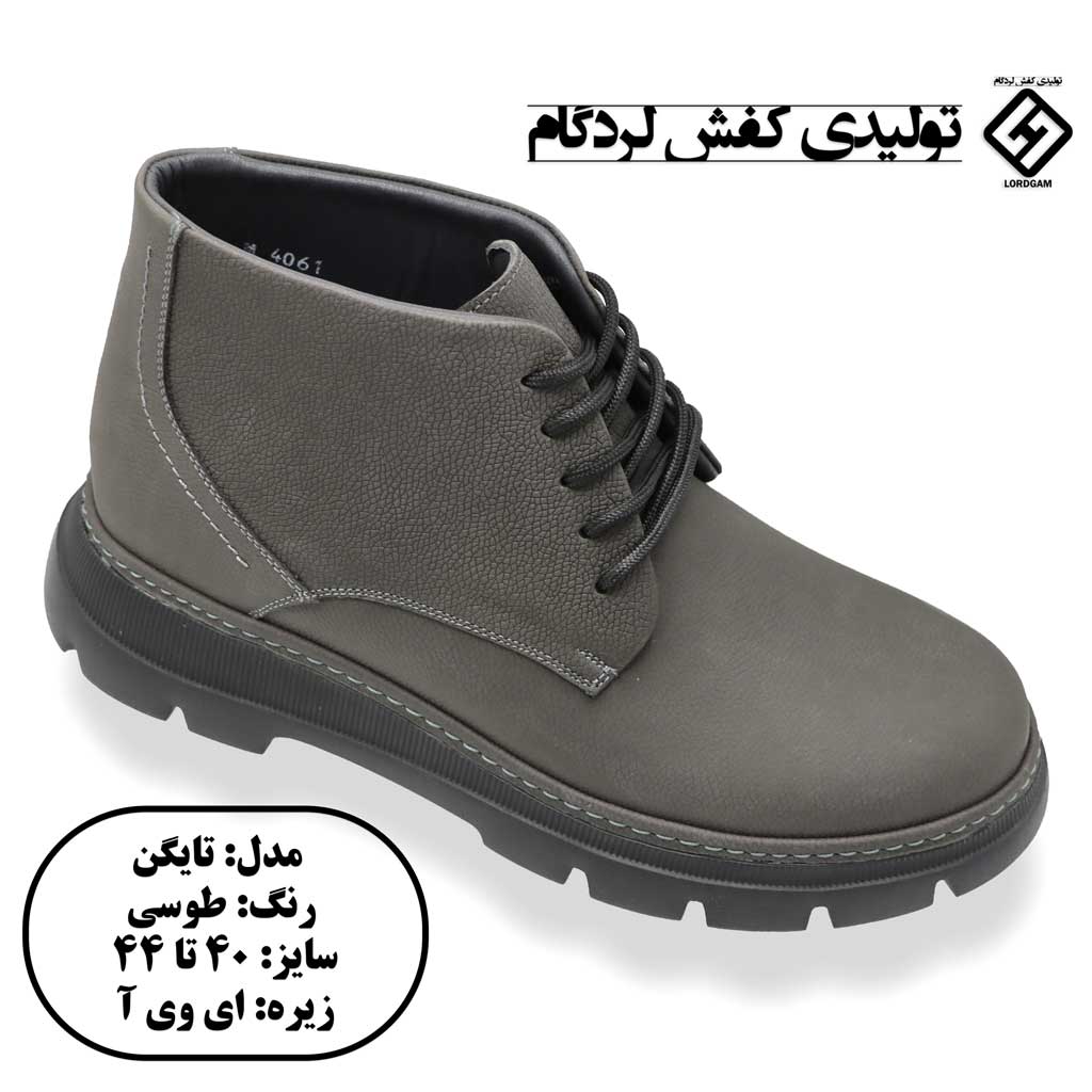 بوت-تایگن-طوسی