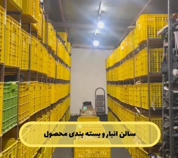 خرید کفش عمده