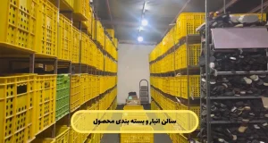 کفش عمده مشهد